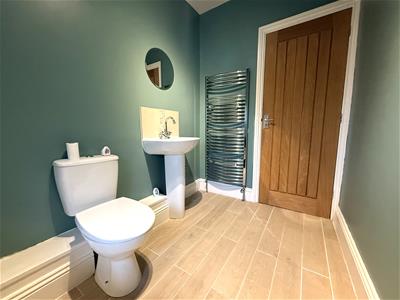 Picture 16